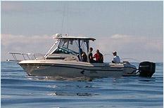 Tofino Fishing Charters